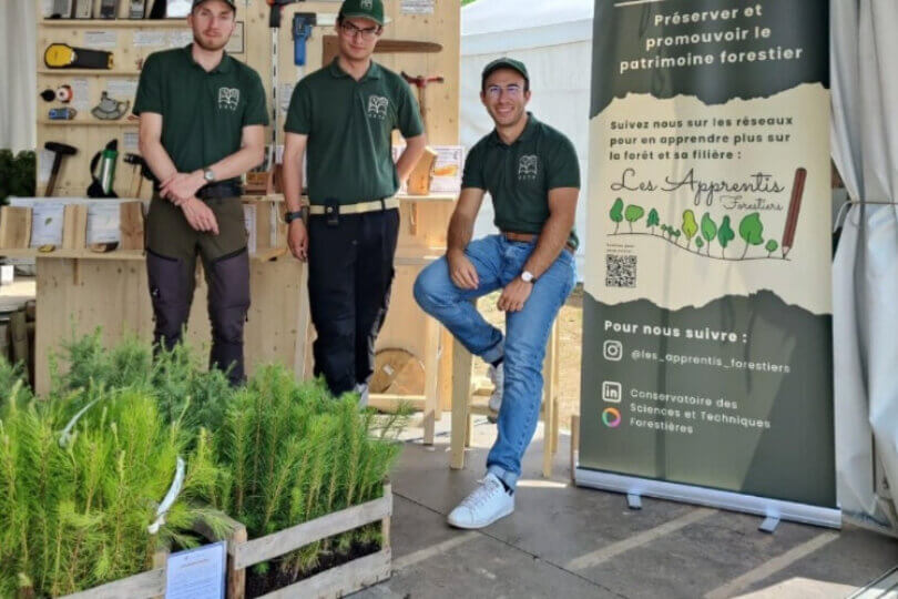 les apprentis forestiers